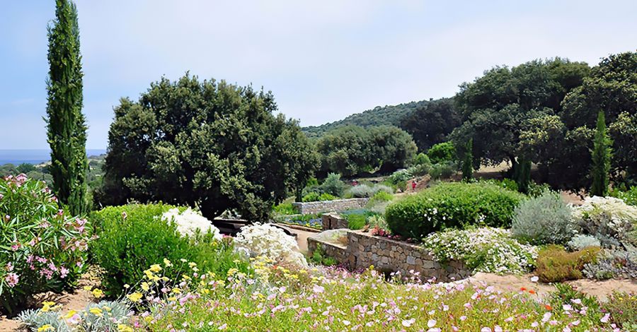 Parc de Saleccia